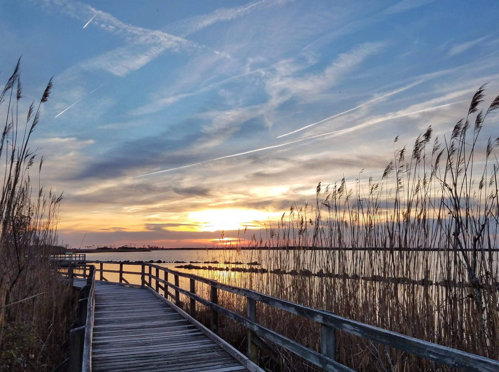 Celebrating America's East Coast