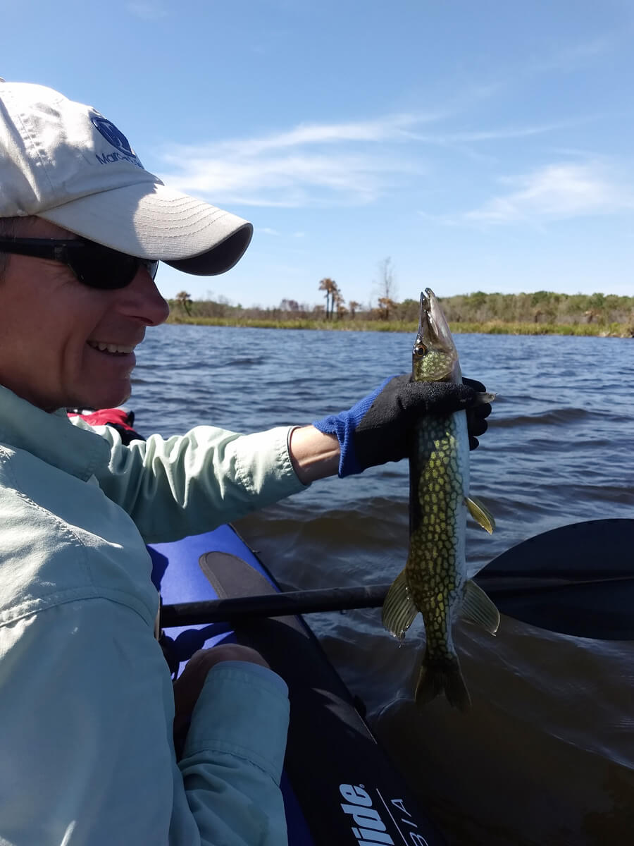 Berzowskis: Florida Camping Berzowskis: Florida Camping