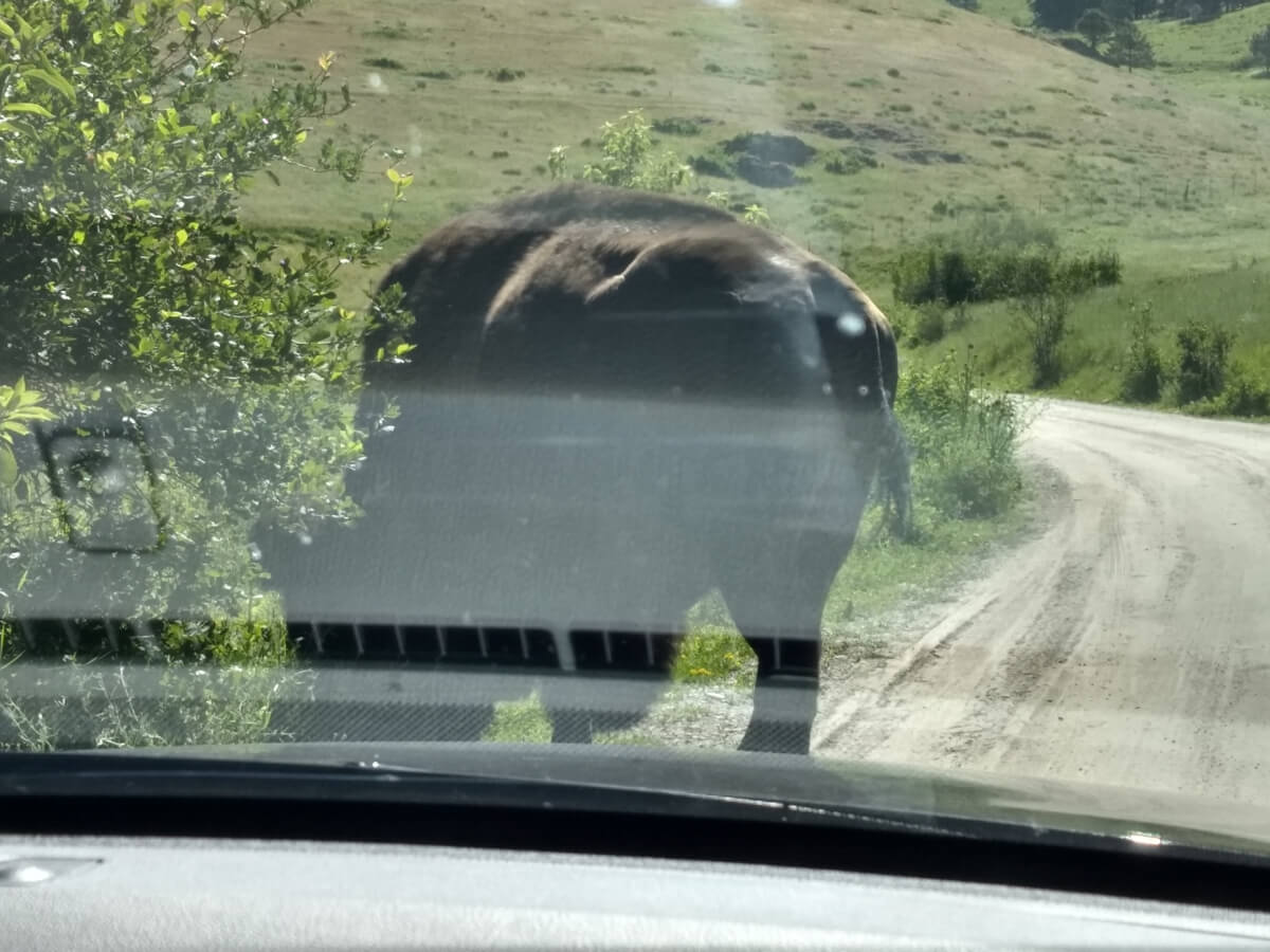 Berzowskis Summer Adventure: Missoula, MT