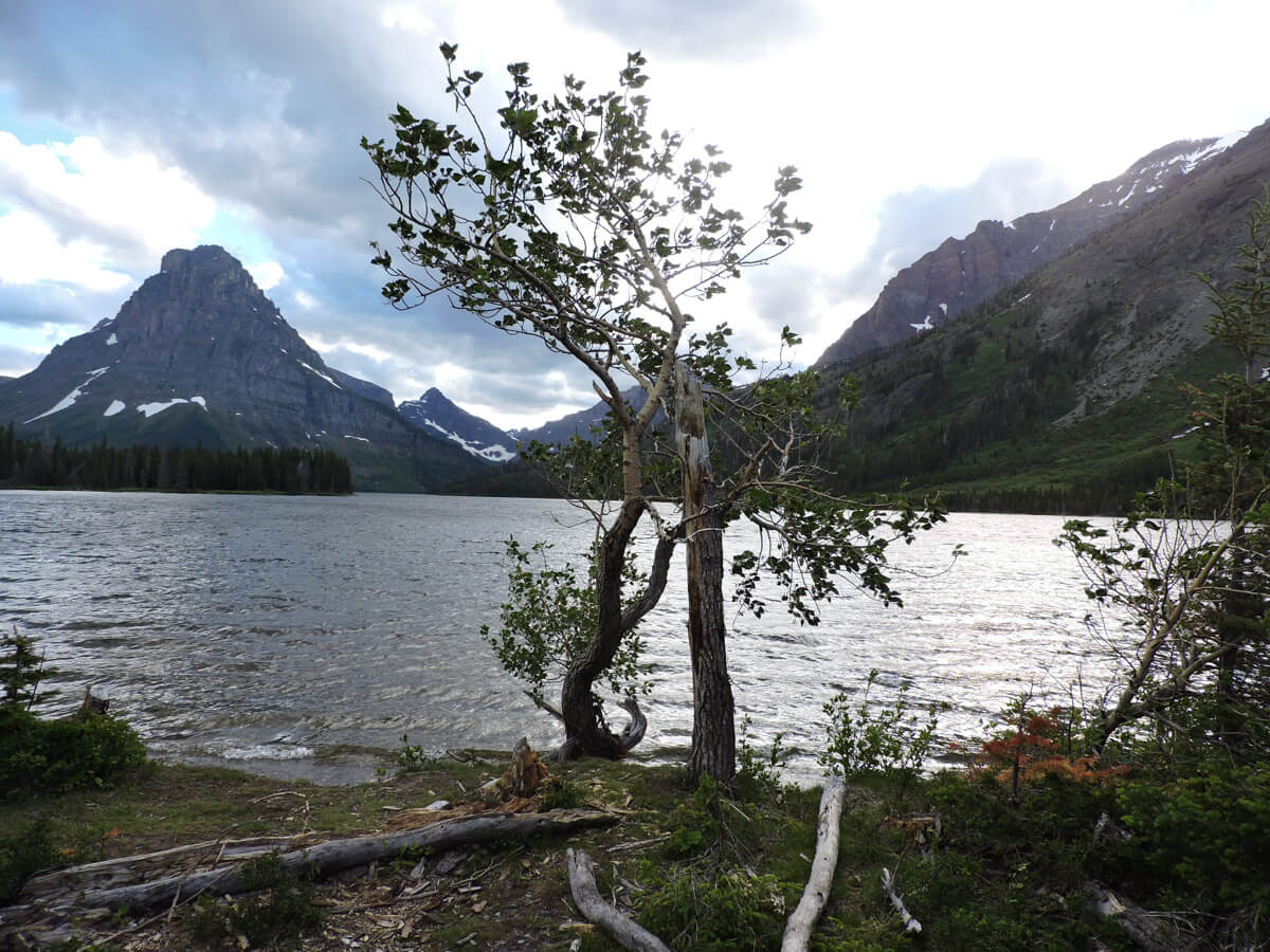 Berzowskis Summer Adventure: Glacier National Park