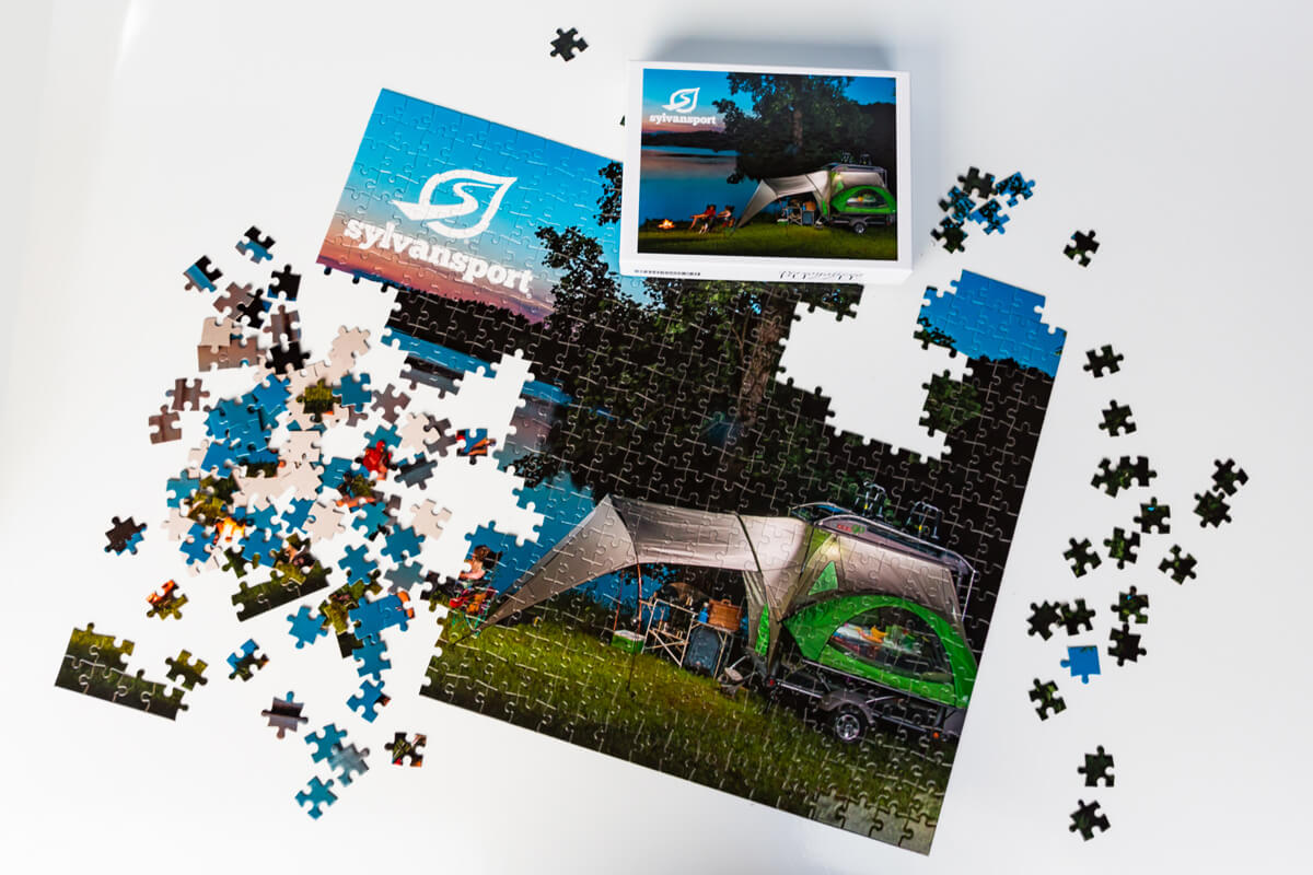 GO puzzle partial GO-puzzle-partial