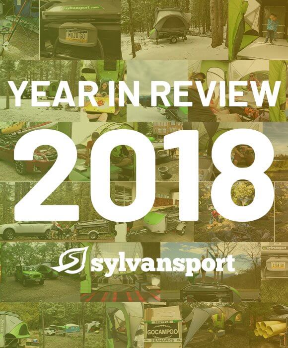 Year in Review 2018 logo