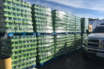 6 Over 7500 cans of Green Beans