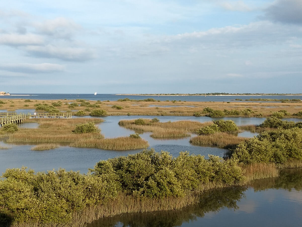 Berzowskis Spring Adventure: St Augustine, FL