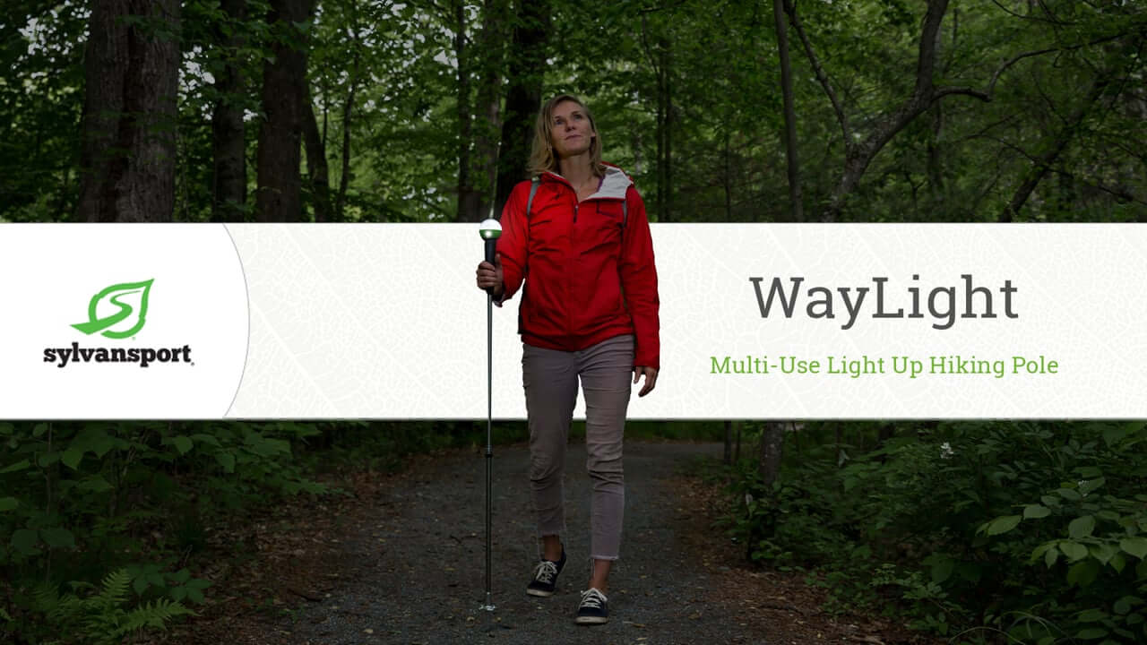 WayLight Hiking Pole