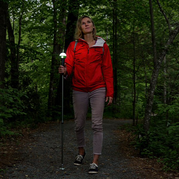 WayLight Hiking Pole