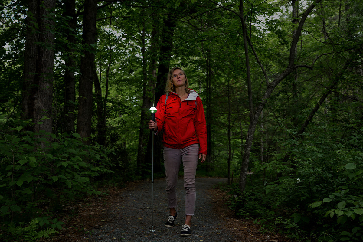 WayLight Hiking Pole