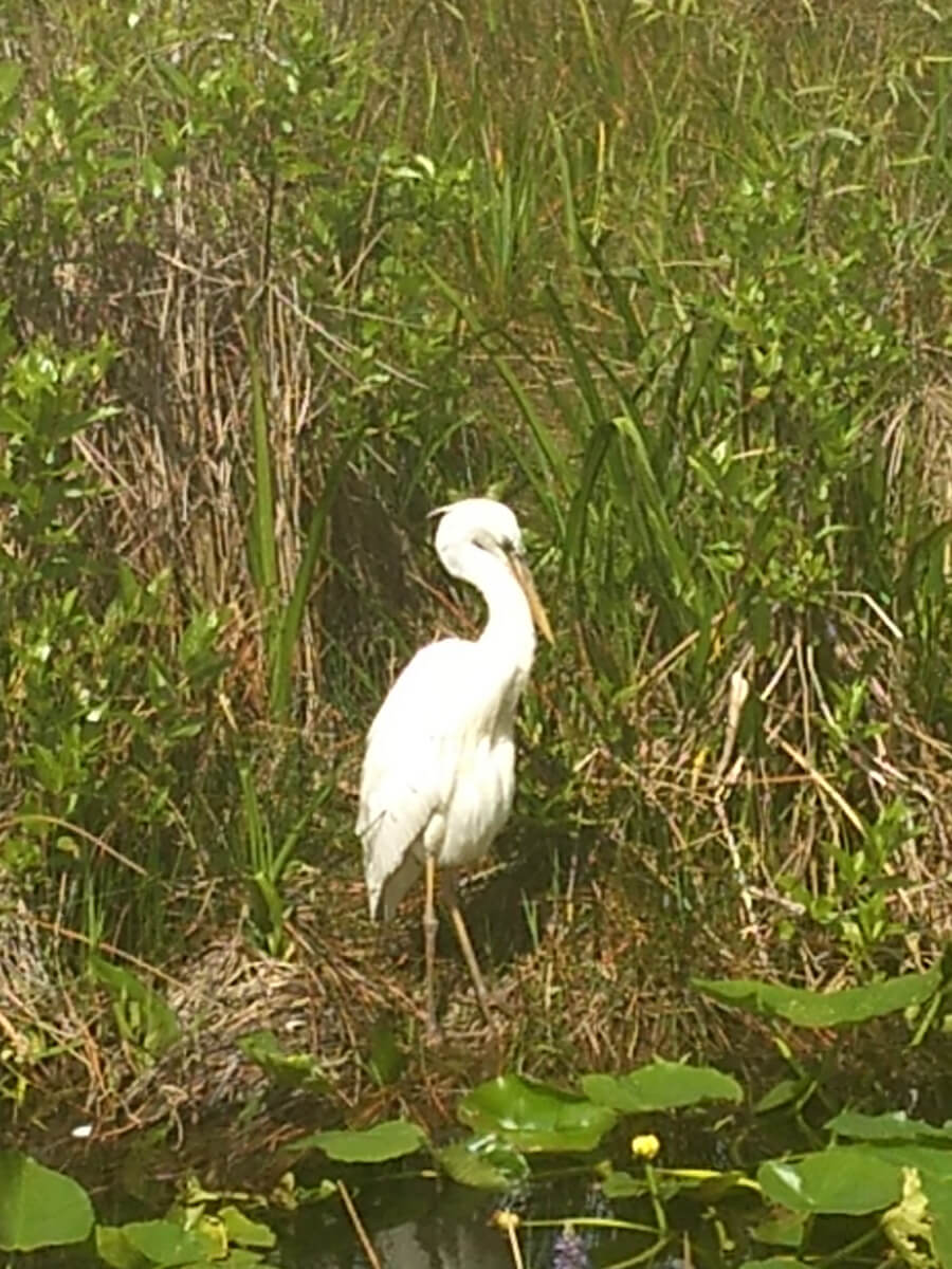 Berzowskis Spring Adventure: Key Largo, FL