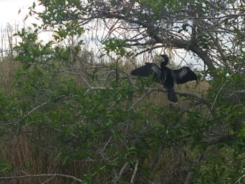 Berzowskis Spring Adventure: Key Largo, FL