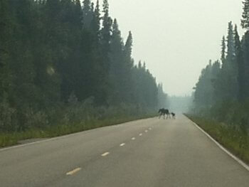 Berzowskis Alaska Adventure: Top of the World