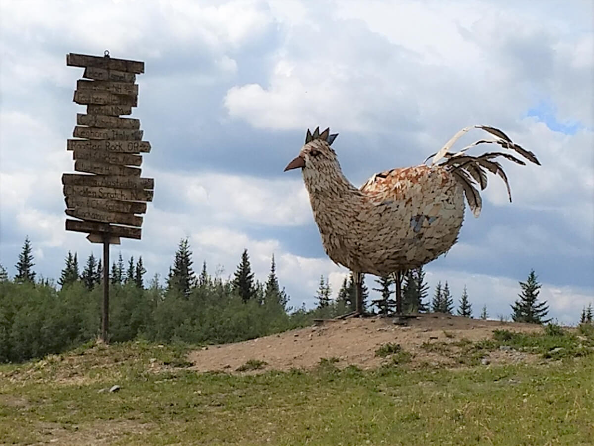 Berzowskis Alaska Adventure: Top of the World