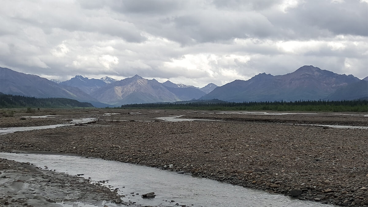 Berzowskis Alaska Adventure: Denali National Park