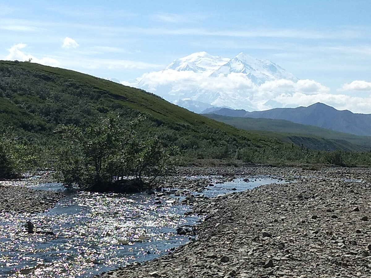 Berzowskis Alaska Adventure: Denali National Park