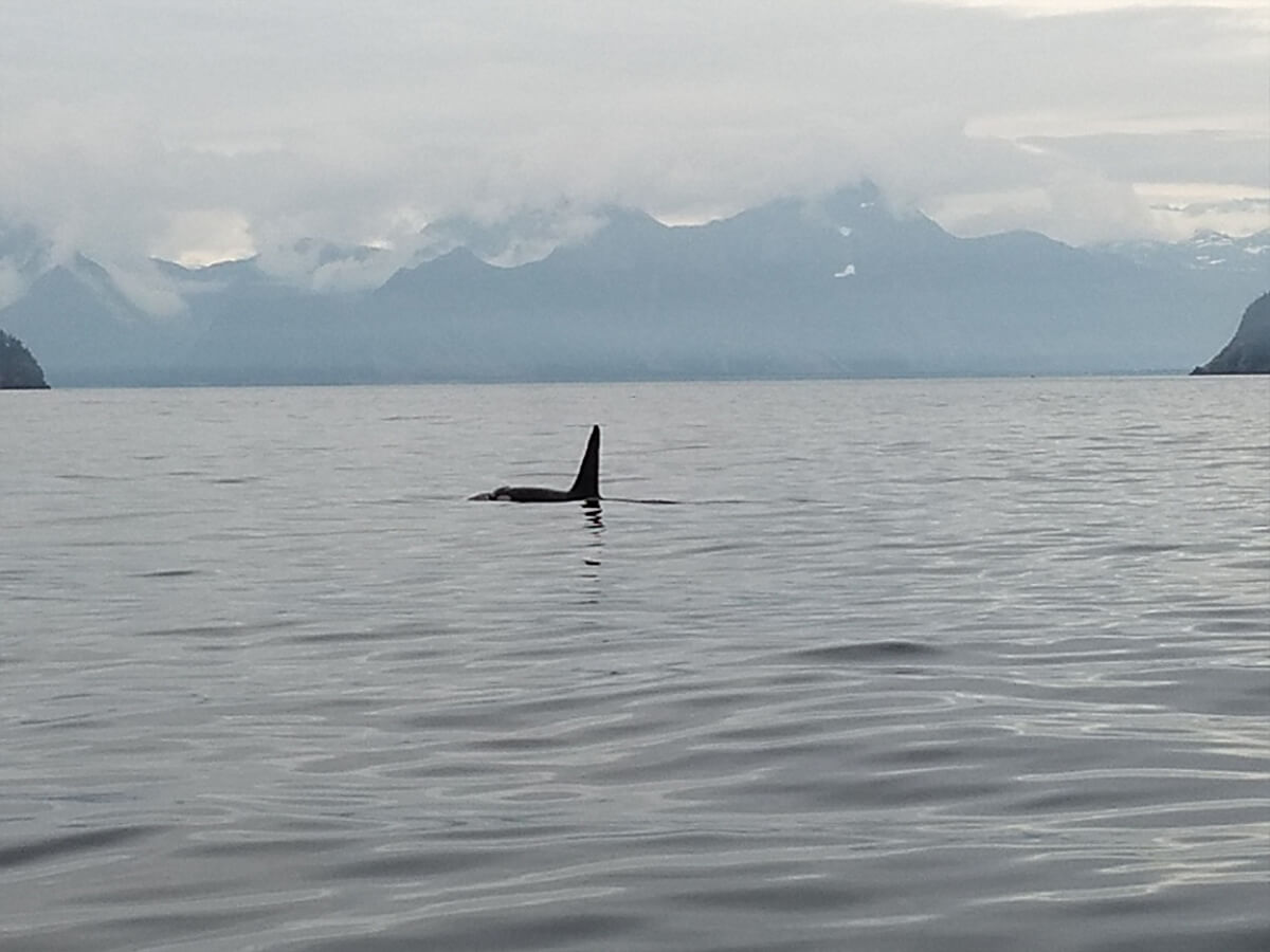 Berzowskis Alaska Adventure Berzowskis Alaska Adventure
