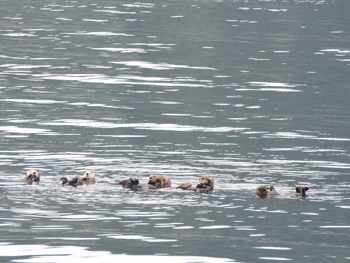 Berzowskis Alaska Adventure