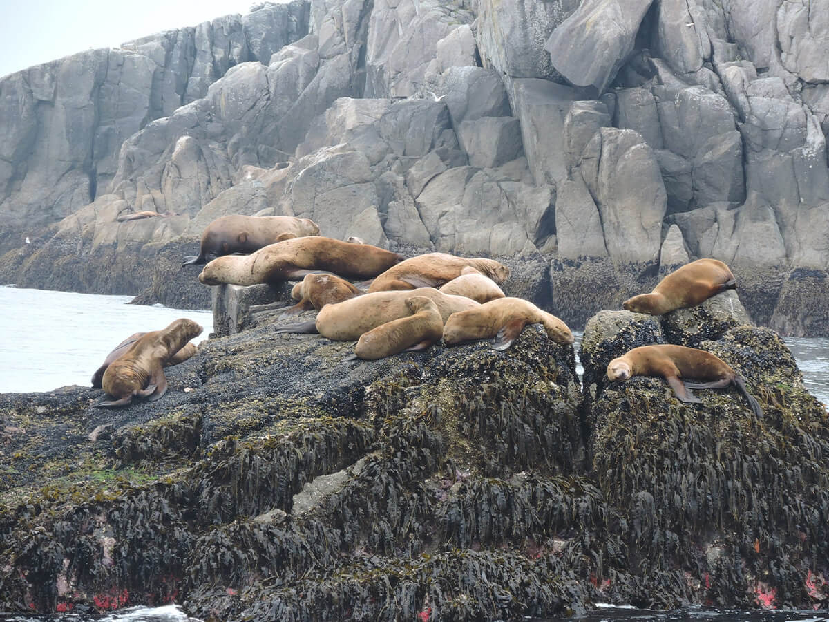 Berzowskis Alaska Adventure: Seward