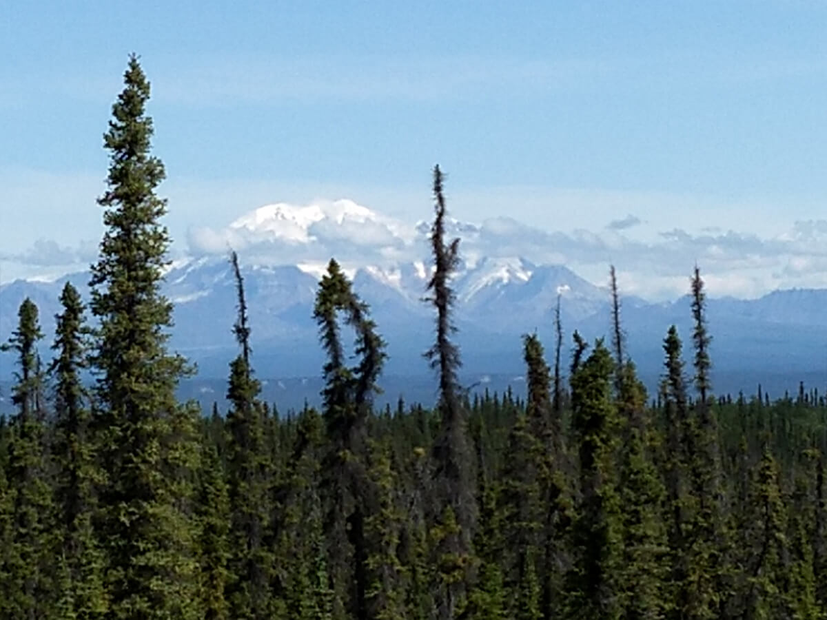 Berzowskis Alaska Adventure