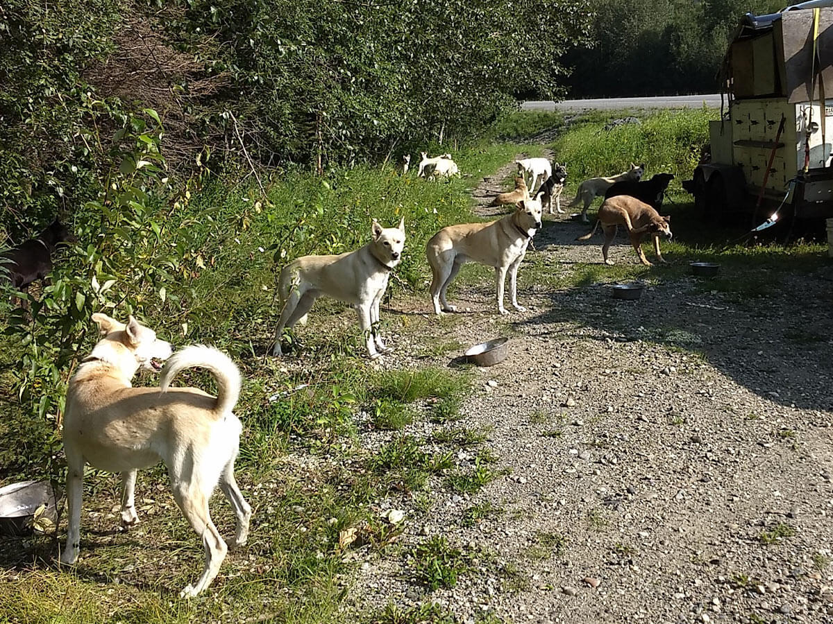 Berzowskis Alaska Adventure Berzowskis Alaska Adventure