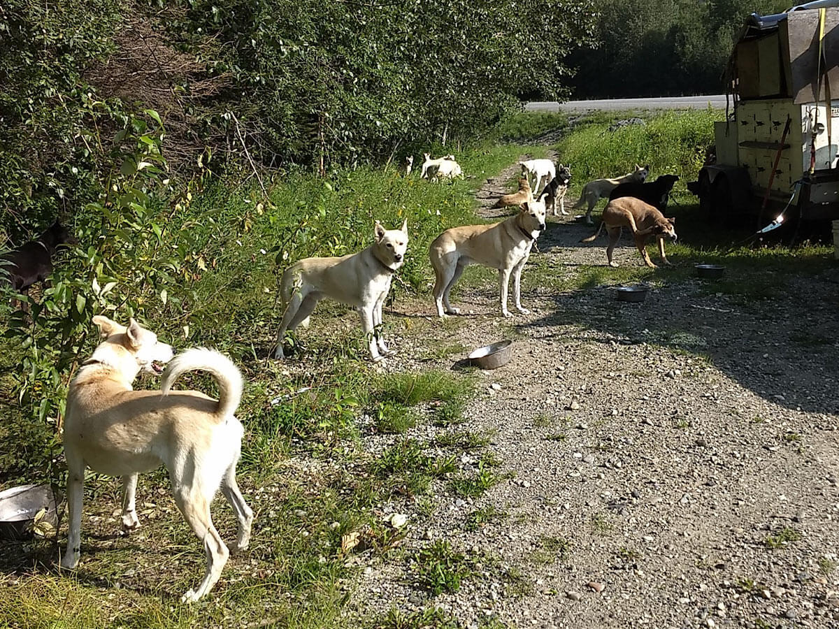 Berzowskis Alaska Adventure