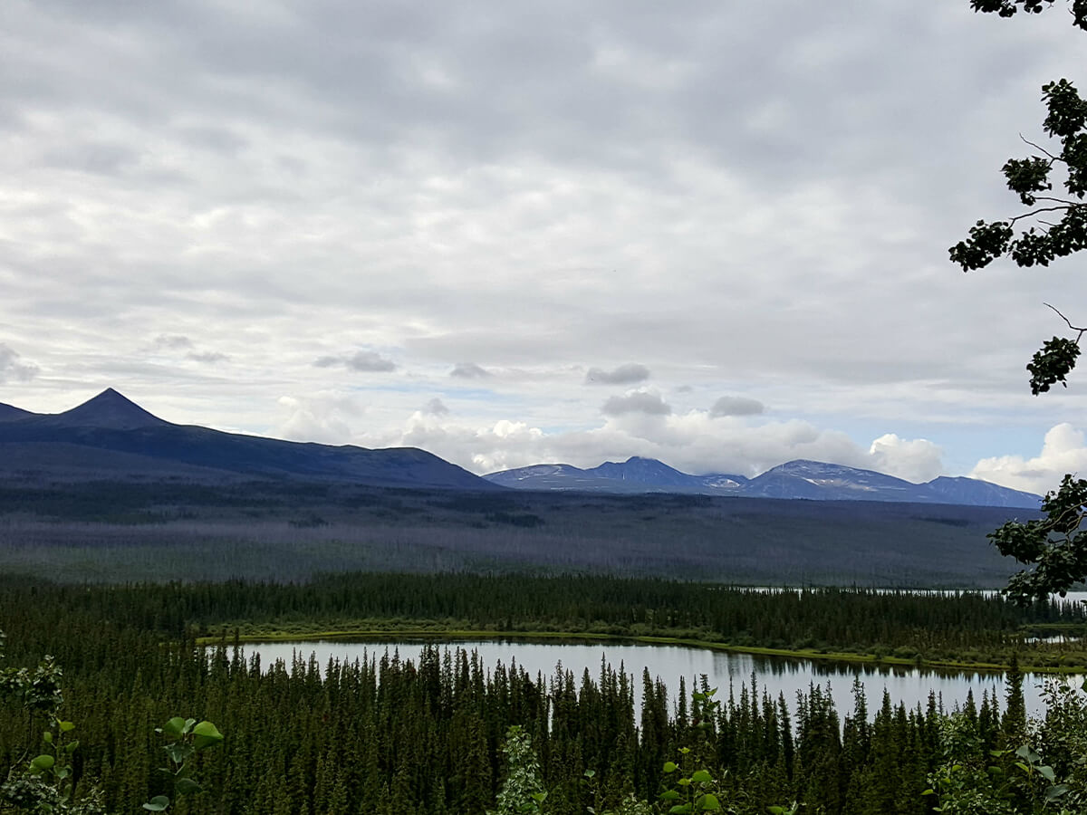 Berzowskis Alaska Adventure Landscape