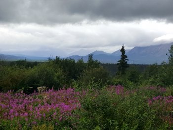 Berzowskis Alaska Adventure