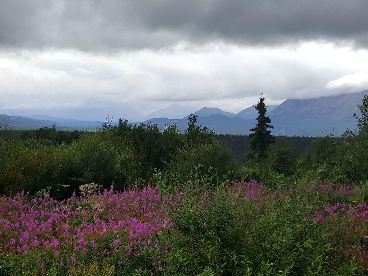 Berzowskis Alaska Adventure Berzowskis Alaska Adventure