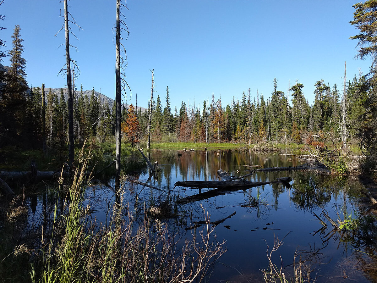 Berzowskis Alaska Adventure