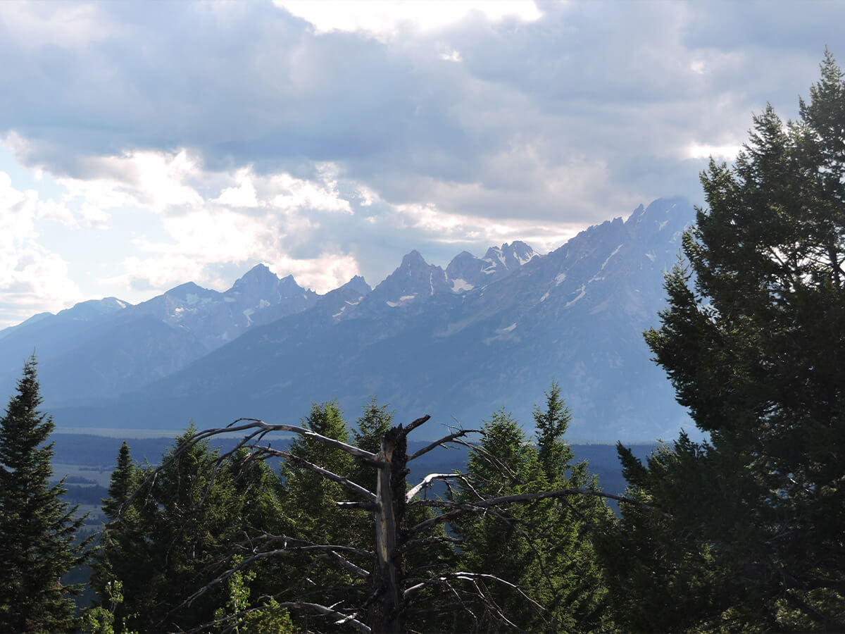 Berzowskis Alaska Adventure Landscape