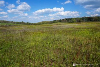 Big Meadows Shenandoah National Park