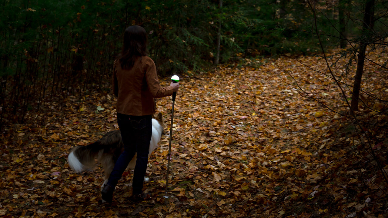 Where to picnic and hike in Brevard NC - Holmes State Forest