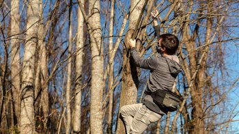 men climbing a tree with Hip bag