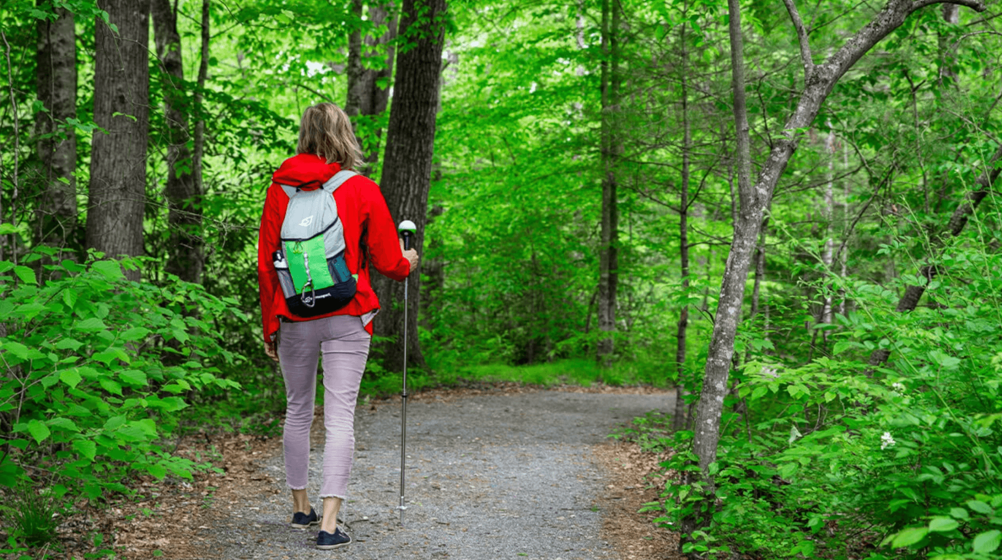 Hike Brevard NC
