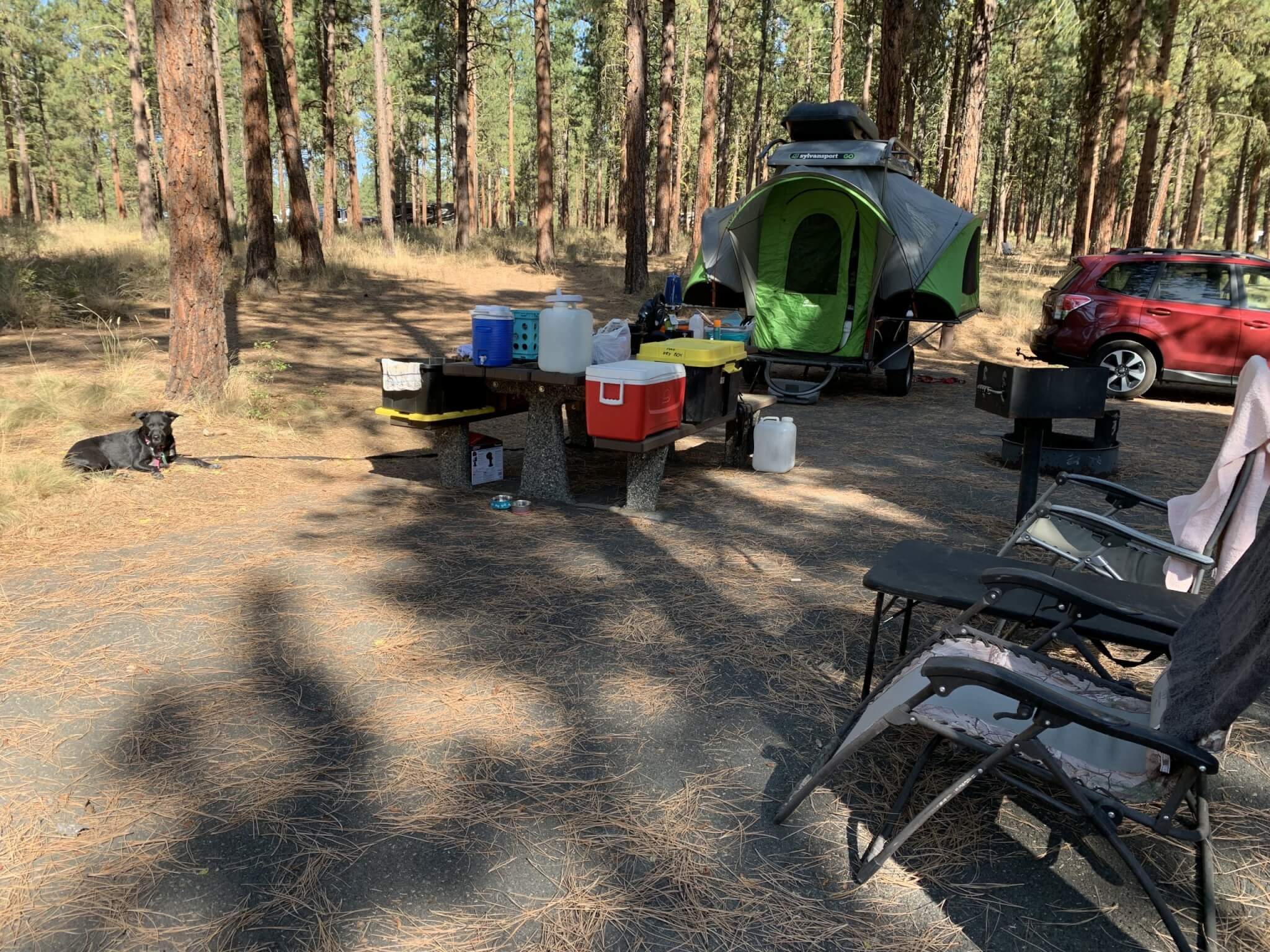 Go Camping trailer set up in a campground