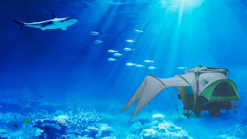 GO under water shark