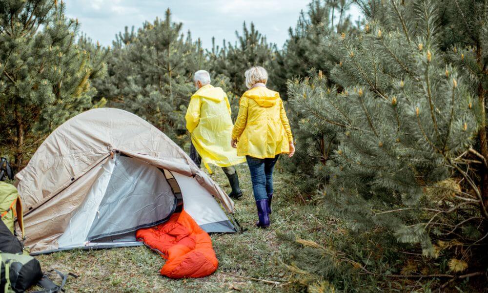 5 Ways To Protect Your Campsite From Bugs and Pests