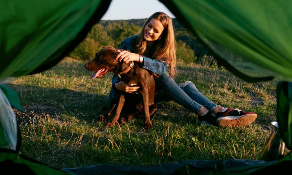 5 Tips for Taking Your Pets on Your Camping Adventures