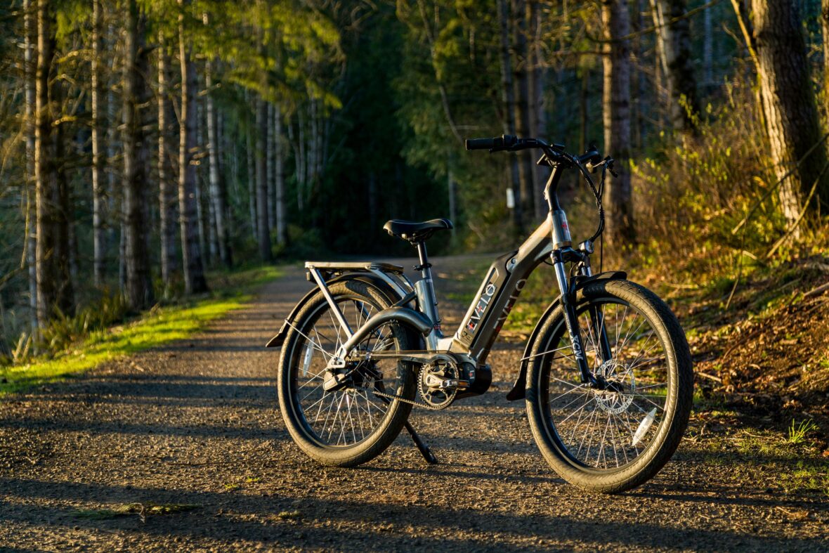 ebike on the trail