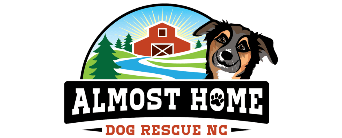 Optima trailer parked at the Edge of the Forest Fest, showcasing versatile camping gear for outdoor.